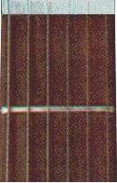 akord.jpg (6085 bytes)